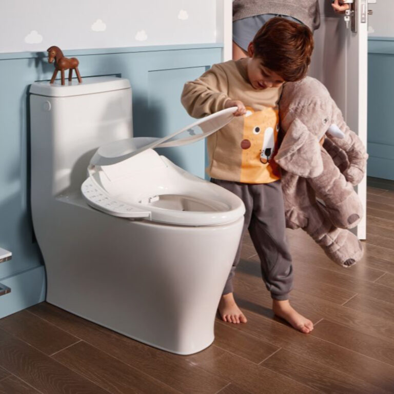 A Bidet is Useless for Me [581]